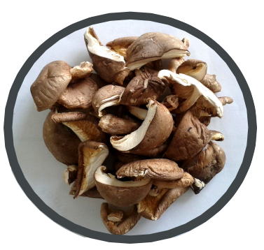 Organic dried shiitake mushrooms Midzu 1 Kg 